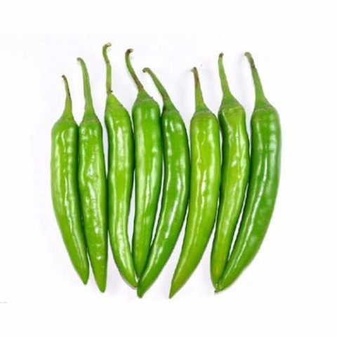 LONG GREEN CHILLI521 长青椒