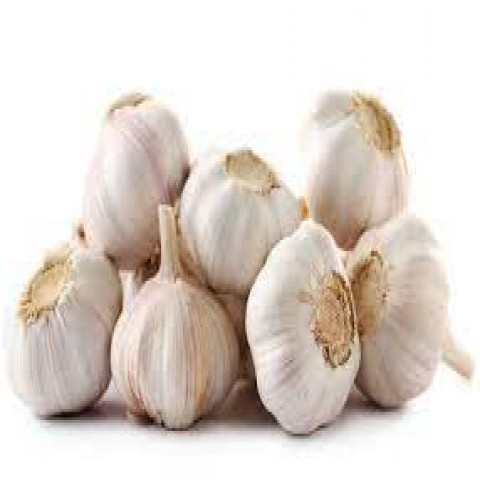 Garlic蒜头（大）
